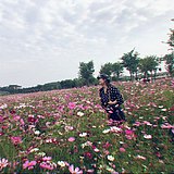 五行缺心的头像