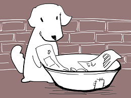 酷小黑|没得商量!