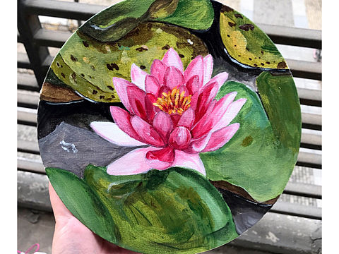 丙烯荷花