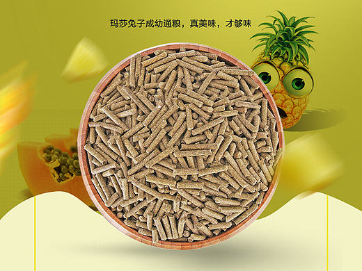 详情页宠物波奇网