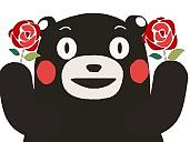 原创微信表情熊本（个人主页-ZMTY4NzA1MDA=） - 网络表情 - 站酷设计师ccccai原创素材 - 站酷ZCOOL