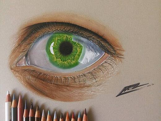 彩铅超写实手绘