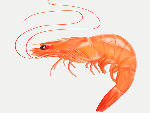 手繪-美食（個人主頁-ZMjEyNzc3NzY=） - 創(chuàng)作習(xí)作 - 站酷設(shè)計師K先森_Kaysen原創(chuàng)素材 - 站酷ZCOOL