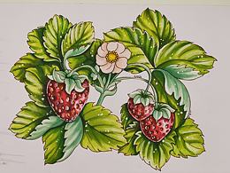 马克笔插画习作