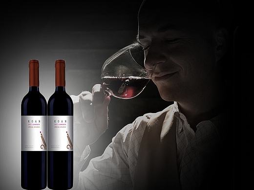 红酒淘宝店铺首页装修