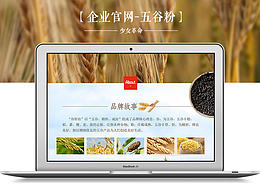 企业官网制作