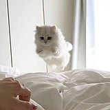 贾媛的头像