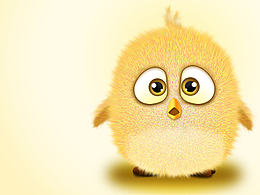 LOVELY BIRD