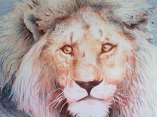 狮子素描外国人肖像桌子床服装设计图形创意作品信息创作时间2012/07