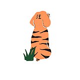 anwcs的头像