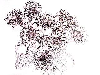 手繪線描（個(gè)人主頁(yè)-ZNTA3NDA4MA==） - 創(chuàng)作習(xí)作 - 站酷設(shè)計(jì)師憶語(yǔ)瑜逸原創(chuàng)素材 - 站酷ZCOOL