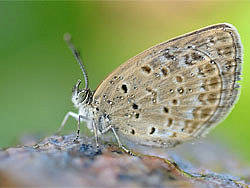 記錄一些小精靈（個(gè)人主頁-ZNjg3OTA4） - 風(fēng)光攝影 - 站酷設(shè)計(jì)師ninekb原創(chuàng)素材 - 站酷ZCOOL