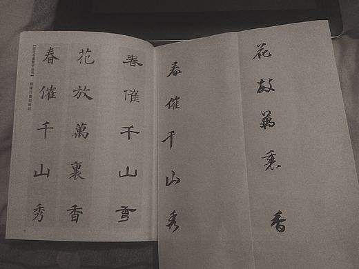 临摹（个人主页-ZMTgwMTQ5NzY=） - 书法 - 站酷设计师贝塔葡聚糖原创素材 - 站酷ZCOOL