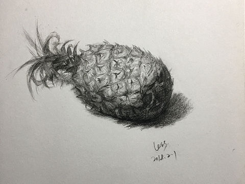 一组水果单体素描