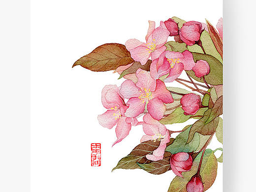 海棠