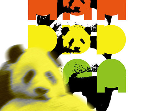 panda