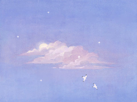 插画 云想（个人主页-ZNDczMjUyNjg=） - 商业插画 - 站酷设计师河野尾原创素材 - 站酷ZCOOL