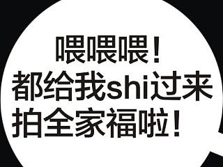 《汪轮怂&偶情》——拍照篇（个人主页-ZNjg5MTUzMg==） - 宠物摄影 - 站酷设计师milanda829原创素材 - 站酷ZCOOL