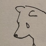 本溪行的头像