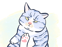 貓貓狗狗大合集