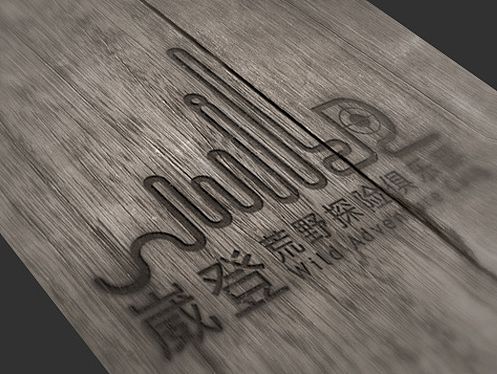 为企业设计的LOGO与VI展示