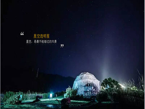 关于文旅