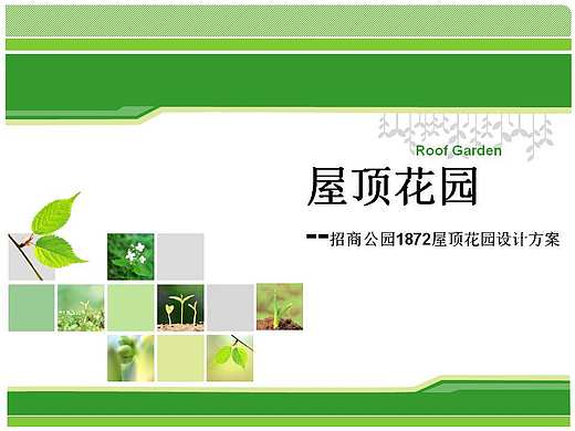 屋顶花园一稿