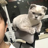 河伯HENRY的头像