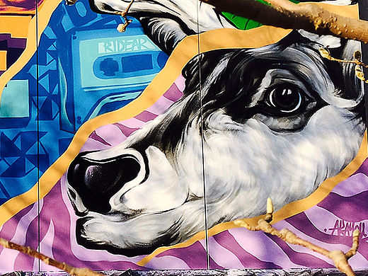 冻涂“一鹿顺风”