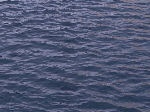 澳门渔人码头，巴黎铁塔