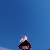 月见漓的头像