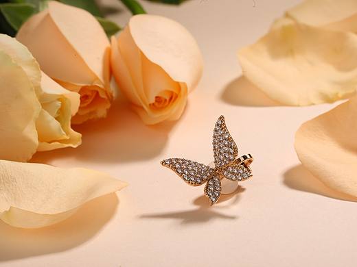 蝴蝶耳夹