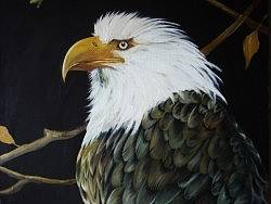 油畫（個人主頁-ZMTA4MTUwNA==） - 商業(yè)插畫 - 站酷設(shè)計師田橙子Tim1987原創(chuàng)素材 - 站酷ZCOOL