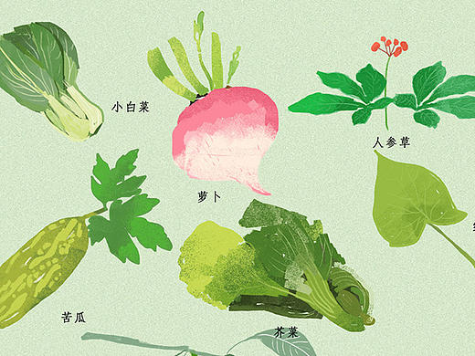 适合阳台种植的蔬菜插画