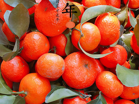 年味十足