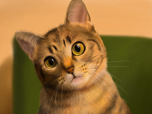 一只小貓（個(gè)人主頁(yè)-ZMTg0NTM1MzY=） - 創(chuàng)作習(xí)作 - 站酷設(shè)計(jì)師張蛋蛋蛋原創(chuàng)素材 - 站酷ZCOOL