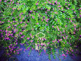 立夏，城事。