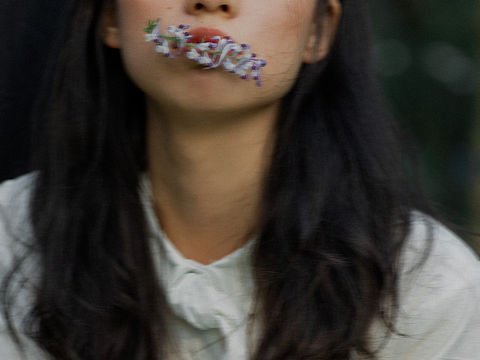 人的内心,不种满鲜花,就会长满杂草🍃