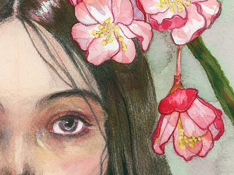 樱花与黑发少女