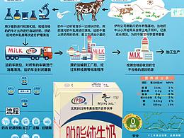 信息设计