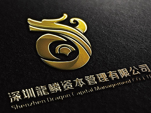 深圳龙鳞视觉识别设计