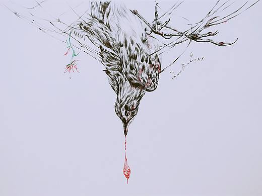 保护动物，人人有责。