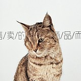 虎萝hello的头像