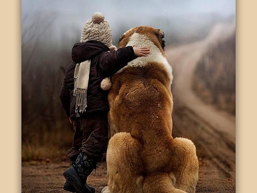 派特（寵物）app（個人主頁-ZMTY1NDAyNTY=） - APP界面 - 站酷設(shè)計師高小閑9527原創(chuàng)素材 - 站酷ZCOOL