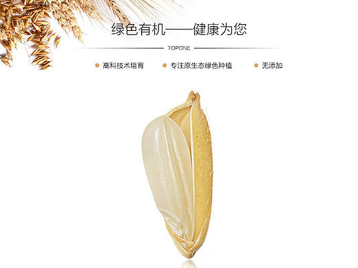 大米详情