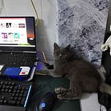 用户头像