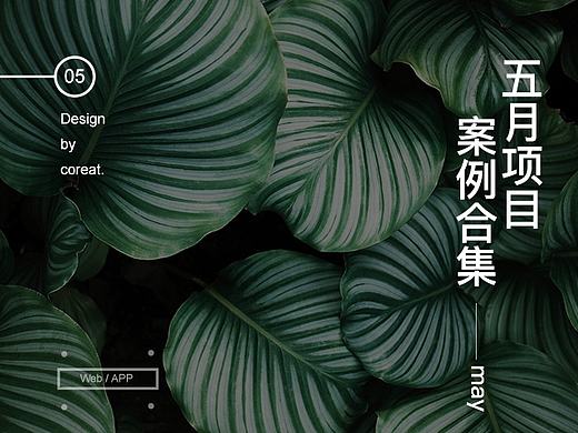五月份的一些案例合集