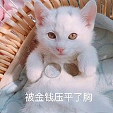 睡不醒的某新的头像