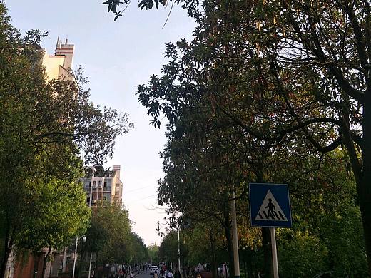 风景