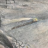 日一尧的头像